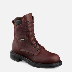 Botas de Trabajo Red Wing SuperSole® 2.0 Hombre | 35PODUVZY