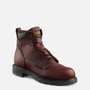 Botas de Trabajo Red Wing SuperSole® 2.0 Hombre | 27JCPGUNX