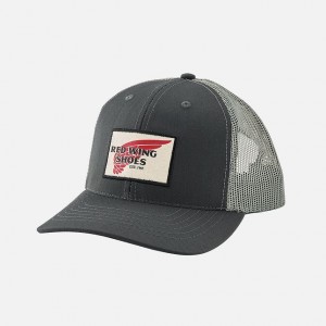 Sombreros Red Wing Embroidered Logo Ball | 17JFXNHQZ