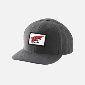 Sombreros Red Wing Embroidered Logo Ball | 86QNDUFXC