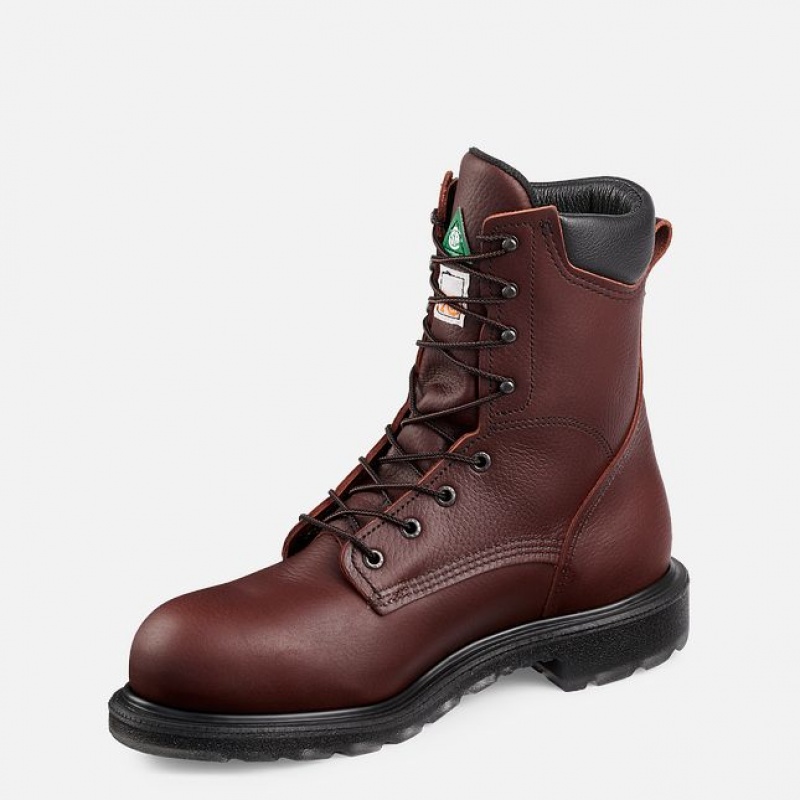 Botas de Trabajo Red Wing SuperSole® 2.0 Hombre | 45YZNTBPJ